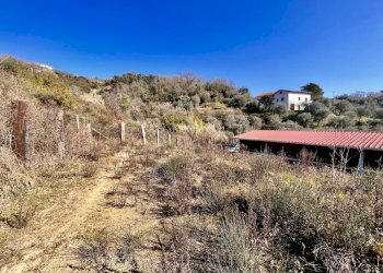 IMG_3468.JPG - Terreno edificabile Bolano - foto 3