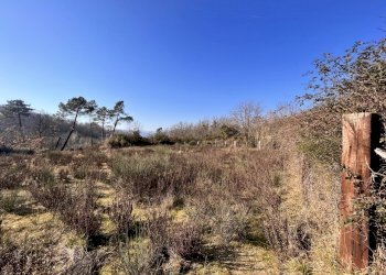 IMG_3469.JPG - Terreno edificabile Bolano - foto 4