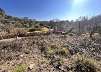 IMG_3470.JPG - Terreno edificabile Bolano - foto 5