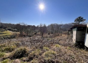 IMG_3471.JPG - Terreno edificabile Bolano - foto 6