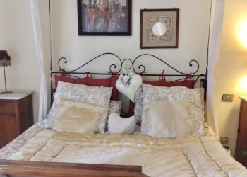 5611d35f-039f-42f0-91a2-0e961bdbb912.jpg - Porzione di casa Pietrasanta - foto 7