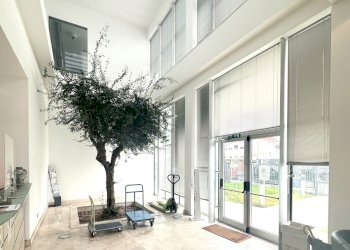 Office Roma - photo 6