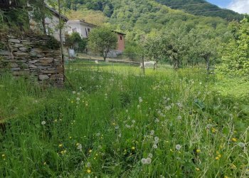 Historic Residence Valloriate, Frazione Serre, Valloriate - photo 17