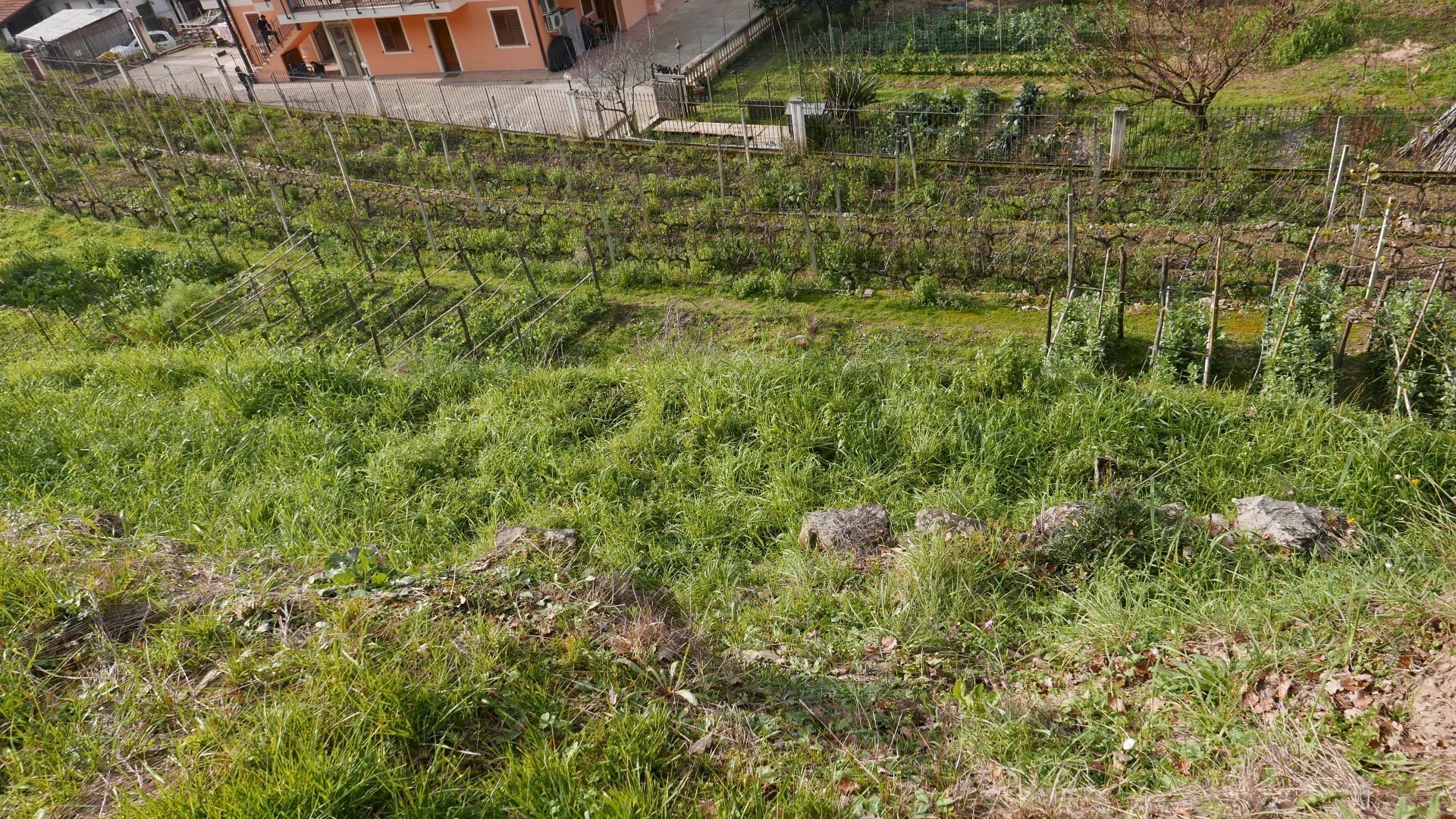 Terreno edificabile Via San Martino, Soldano - foto 2