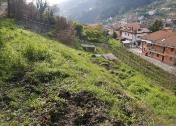 Terreno edificabile Via San Martino, Soldano - foto 1