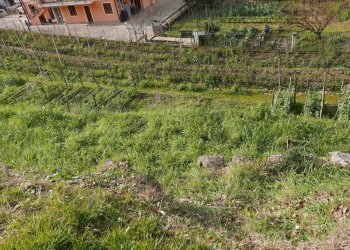 Terreno edificabile Via San Martino, Soldano - foto 2