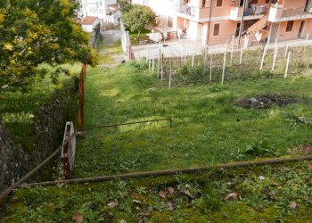 Terreno edificabile Via San Martino, Soldano - foto 3