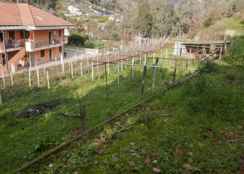 Terreno edificabile Via San Martino, Soldano - foto 5