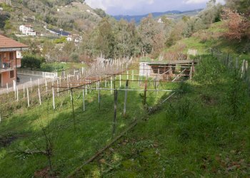 Terreno edificabile Via San Martino, Soldano - foto 7