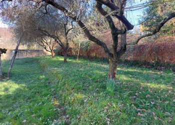 a0568197-1922-4646-b266-65f424b2e445.JPG - Villa a Schiera Via del Maggiore, Castelnuovo Magra - foto 16