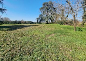 20230210_121159ok.jpg - Casa indipendente Borgo San Lorenzo - foto 14