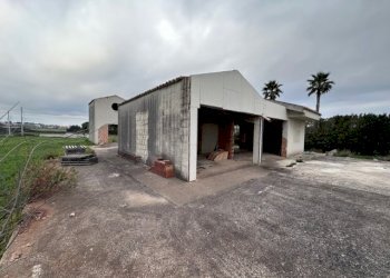 IMG_6467.jpg - Rustico SP70 15, Modica - foto 3