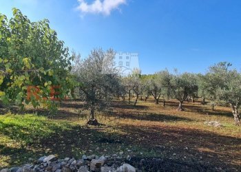 20221020_095236.jpg - Baita Via Pergolo 66, Martina Franca - photo 8