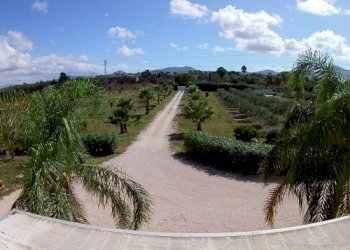 20220720192912-684872-7.jpg - Villa Partinico - foto 7