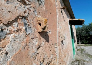 20221020113019-703840-11.jpg - Rustico Partinico - foto 4