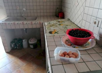 20221020113028-703840-15.jpg - Rustico Partinico - foto 7