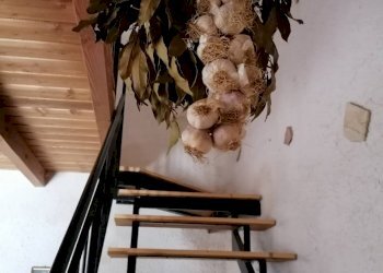 20221020113045-703840-23.jpg - Rustico Partinico - foto 14