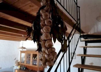 20221020113103-703840-31.jpg - Rustico Partinico - foto 22