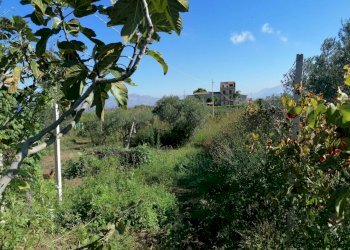 20221020113121-703840-38.jpg - Rustico Partinico - foto 26