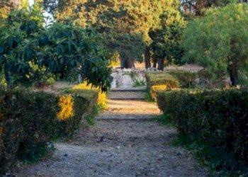 20220331102902-654972-23.jpg - Villa Valderice - photo 4