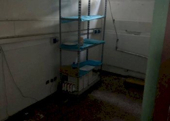 Bar Tavola Calda - Fredda via Pisa, 29/F, Massa - foto 16