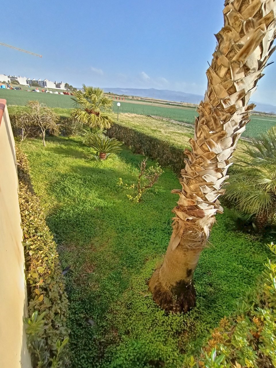 IMG20230227153754.jpg - Appartamento ginepri, Lamezia Terme - foto 2