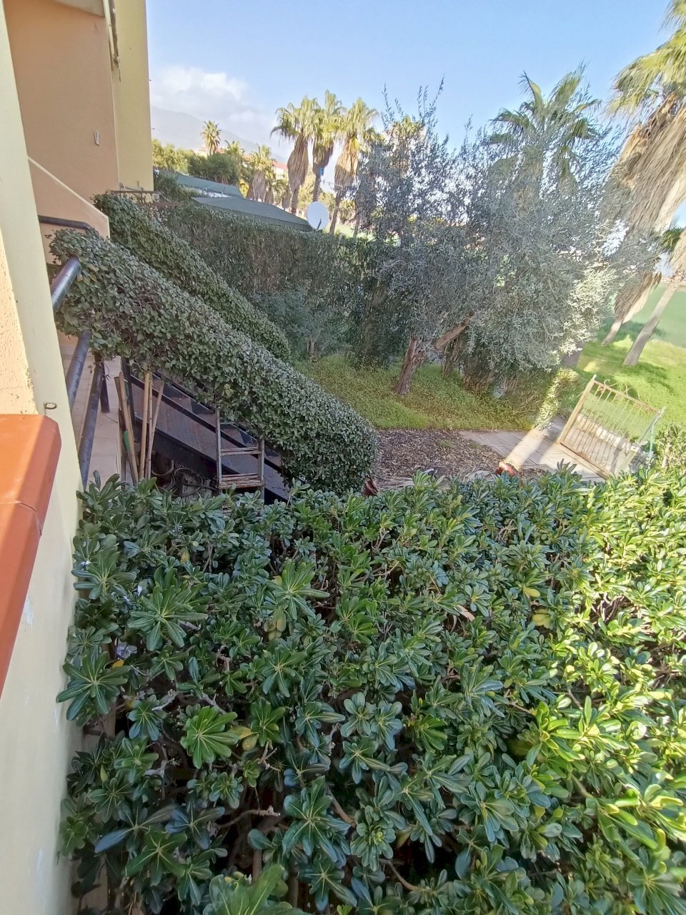 IMG20230227153805.jpg - Appartamento ginepri, Lamezia Terme - foto 3