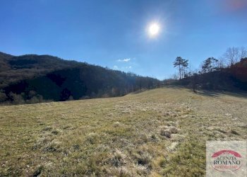 Rif 1267(Copy4).jpg - Casa indipendente Ponzone - foto 5