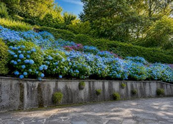 Villa Stresa - foto 25