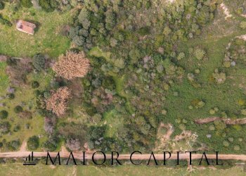 Terreno agricolo località Santa Teresa, Arzachena - foto 6