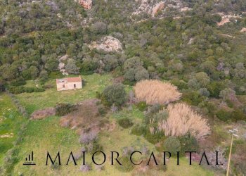 Terreno agricolo località Santa Teresa, Arzachena - foto 7