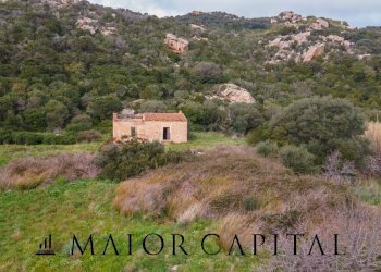 Terreno agricolo località Santa Teresa, Arzachena - foto 13