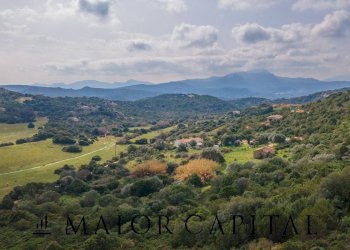 Terreno agricolo località Santa Teresa, Arzachena - foto 15