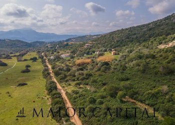 Terreno agricolo località Santa Teresa, Arzachena - foto 16