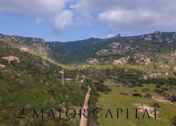 Terreno agricolo località Santa Teresa, Arzachena - foto 20