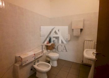 fondo-lucca-affitto_17.jpg - Commercial Premises Viale G. Puccini, Lucca - photo 15