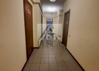 fondo-lucca-affitto_21.jpg - Commercial Premises Viale G. Puccini, Lucca - photo 18