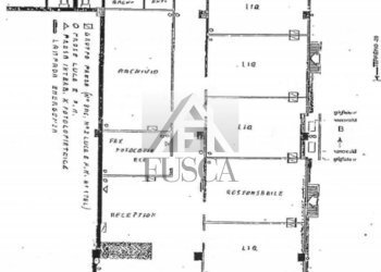 fondo-lucca-affitto_24.jpg - Commercial Premises Viale G. Puccini, Lucca - photo 21