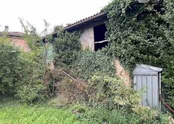 IMG_9053.JPG - Rustico Crevalcore - foto 9