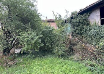 IMG_9054.JPG - Rustico Crevalcore - foto 10