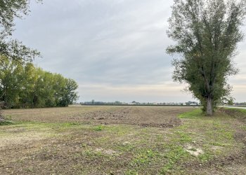 IMG_9055.JPG - Rustico Crevalcore - foto 11