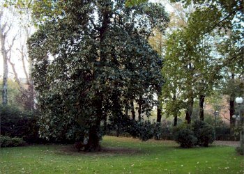 Single Family Villa Reggio nell'Emilia - photo 4