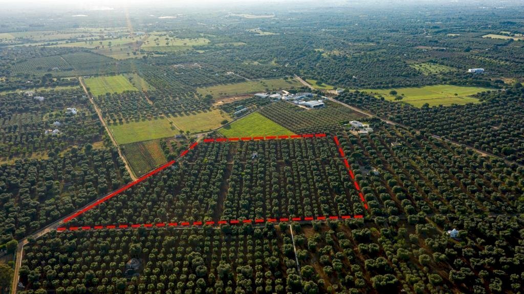 28db9c38-984e-482d-afcf-6860530d0a6f.JPG - Terreno edificabile Contrada Correo, Carovigno - foto 2