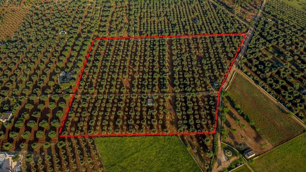 c967071a-e42b-4139-96e3-77a6f434775f.JPG - Terreno edificabile Contrada Correo, Carovigno - foto 3