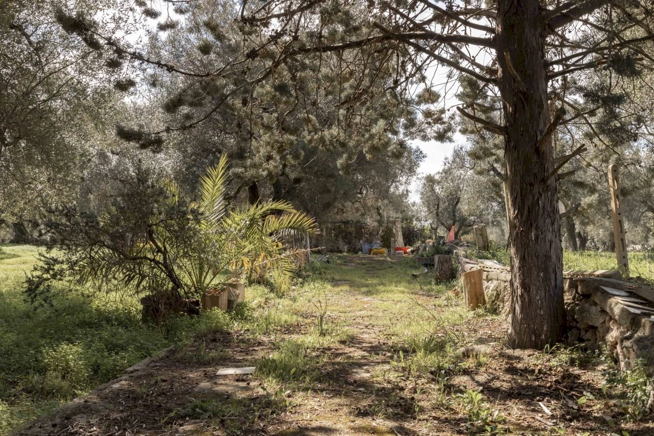 1862.JPG - Casa indipendente Contrada Bufalaria, Carovigno - foto 1