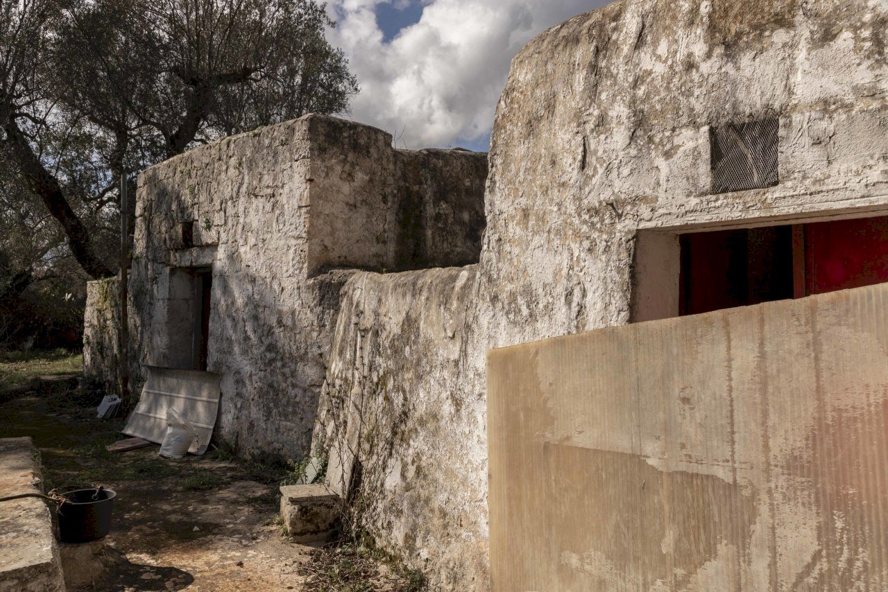 1866.JPG - Casa indipendente Contrada Bufalaria, Carovigno - foto 3