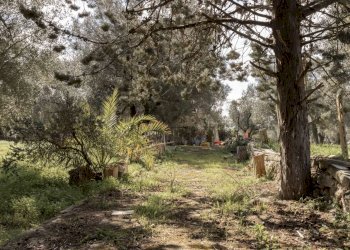 1862.JPG - Casa indipendente Contrada Bufalaria, Carovigno - foto 1