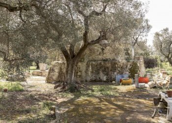 1863.JPG - Casa indipendente Contrada Bufalaria, Carovigno - foto 5