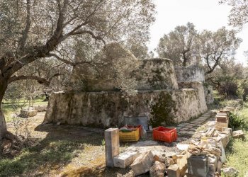 1864.JPG - Casa indipendente Contrada Bufalaria, Carovigno - foto 6