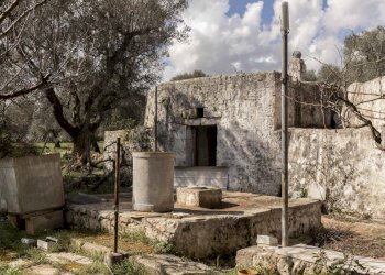 1869.JPG - Casa indipendente Contrada Bufalaria, Carovigno - foto 8
